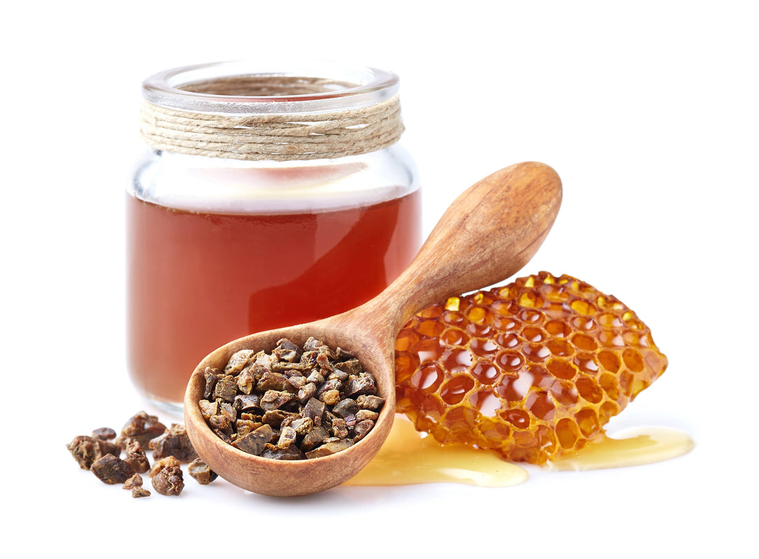 What is Propolis? What are the Types of Propolis?