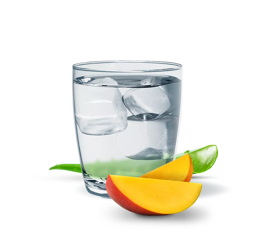 Herbalife Herbal Aloe Concentrate: Mango Pint