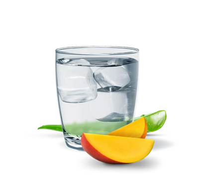 Herbalife Herbal Aloe Concentrate: Mango Pint